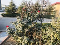 企業(yè)風(fēng)采